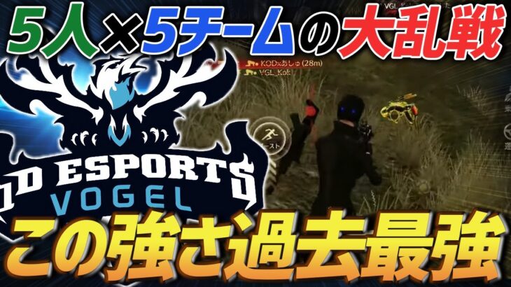 【荒野行動】ラストは5人×5チームの痺れる激熱展開!!これを勝ち切る力、間違いなく今が過去最強のαDVogelです。
