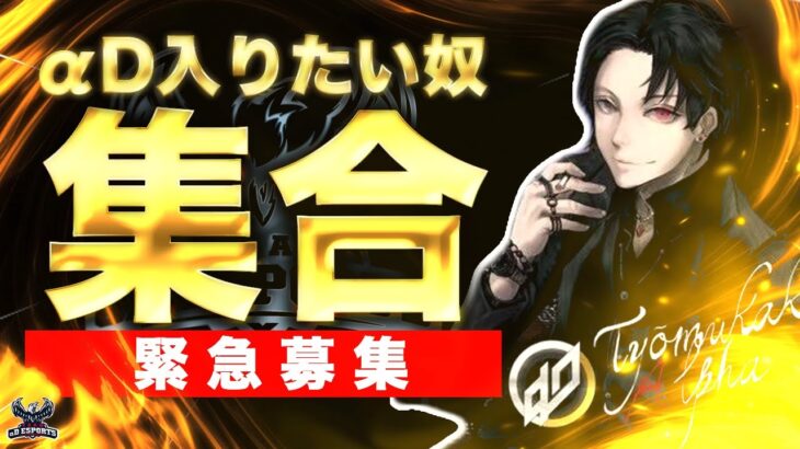 【緊急】ガチでαD新メンバーを募集します。おもろい奴全員出てこいや。