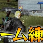 さよドラフルパ【荒野行動】