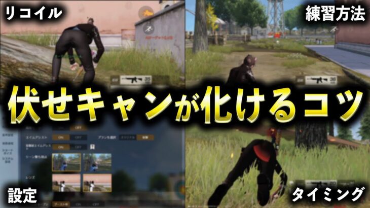 【荒野行動】6つのコツで伏せキャンが化けます【#荒野の光 】