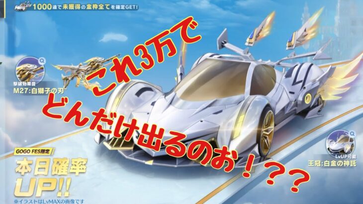 天界の彼方GOGO FES限定ガチャ　3万円でどんだけでる？？！#荒野行動 #天界の彼方GOGO FESガチャ#こえんま