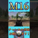 M16でヤバいことした W W【荒野行動】