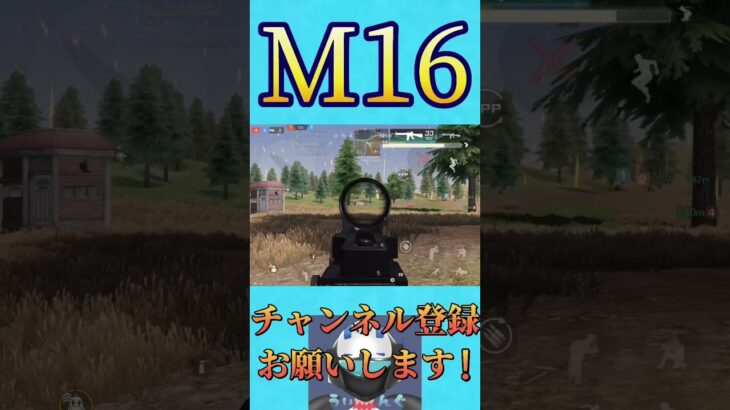 M16でヤバいことした W W【荒野行動】
