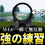 【荒野行動】M4が一瞬で無反動になる練習場がヤバいwww【#荒野の光】