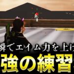 【荒野行動】一瞬でエイム力を上げられる練習場がヤバいwww【荒野ビルド】