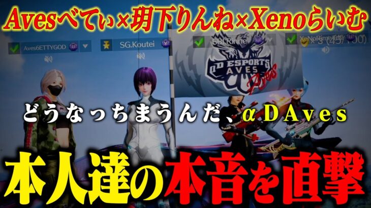 【初公開】トライアウト中のαDAves直撃して本音聞いたら衝撃の事実が…!?(べてぃ/りんね/らいむ)【荒野行動】