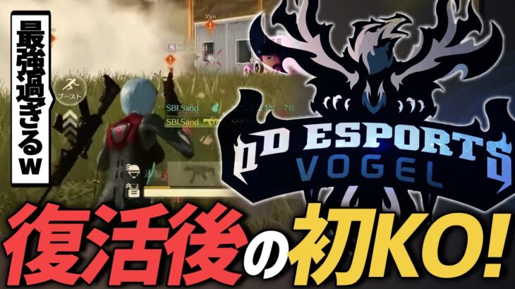 【荒野行動】αDVogel復活後の初KO!!チーム内最多キルを叩き出して無双した試合が最強すぎたwww