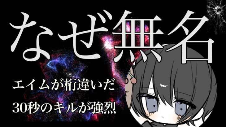【荒野キル集】”MP5の神””と呼ばれる！エイムの命中率が異次元！【猛者紹介/ガチャ/日中戦】