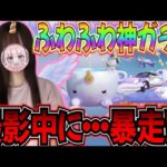 【荒野行動】撮影中に消えた・・・うさたん暴走！？神引きなるのか！？