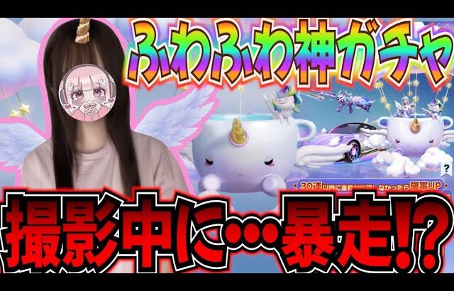 【荒野行動】撮影中に消えた・・・うさたん暴走！？神引きなるのか！？