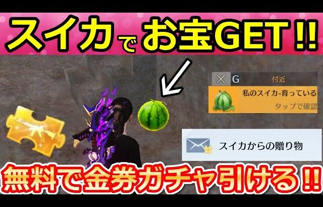 【荒野行動】スイカ栽培の攻略法‼敵にバレない場所＆スイカの贈り物報酬も公開！オススメの交換アイテム・コインの集め方！スコップ検証！スイカ祭りのイベント【荒野の光】【荒野新マップ】