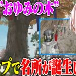 大事な大会の初戦で大量キルしながらもマップ名をつけました。【荒野行動】