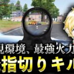 これが最強の1発指切り【荒野行動】【M4無反動キル集】