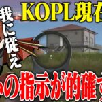 【KOPL現在3位】今絶好調なAvesを支えるリーダーべてぃのオーダーが完璧すぎるw【荒野行動】
