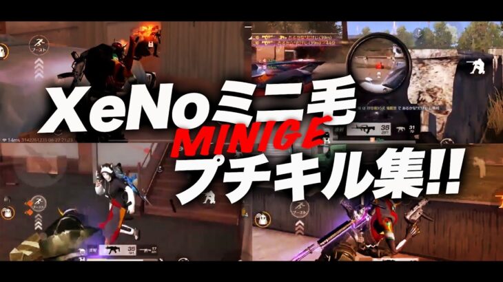 【荒野行動】XeNoミニ毛プチキル集！