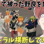 【荒野行動】野良の敵を引き連れて激戦区を横断してみたwww
