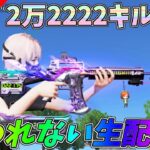 幻のユニコーン愛してるポイント「22222」まで終われません！！【荒野行動】 Knives Out