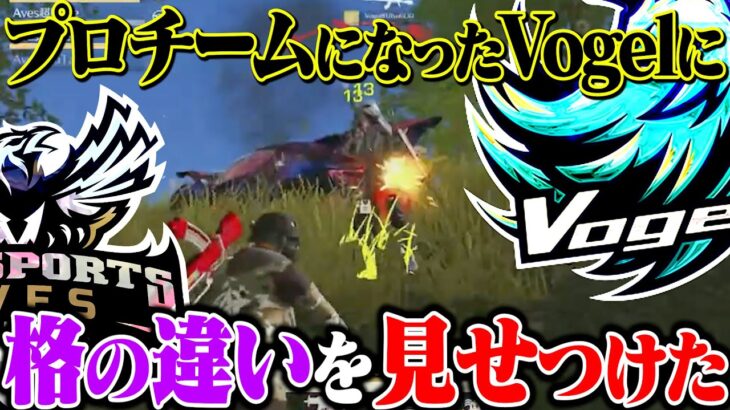 新生Vogel。またリベンジ待ってるぜ！【荒野行動】