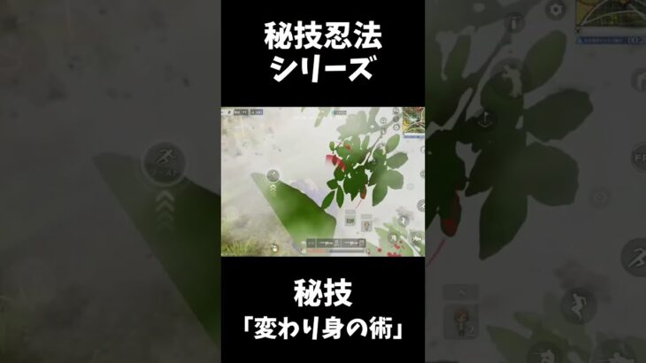 忍法を現代で使う忍者の立ち回りｗｗ【荒野行動】#shorts  Knives Out