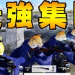これが完全無敵のスクワッドです【荒野行動】