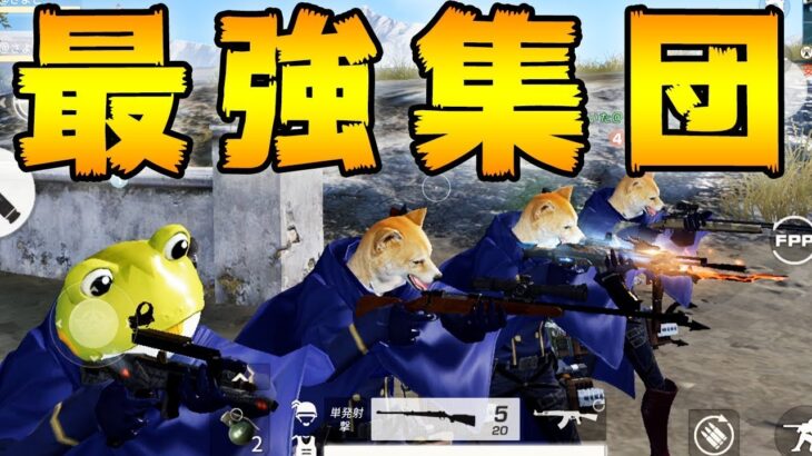 これが完全無敵のスクワッドです【荒野行動】