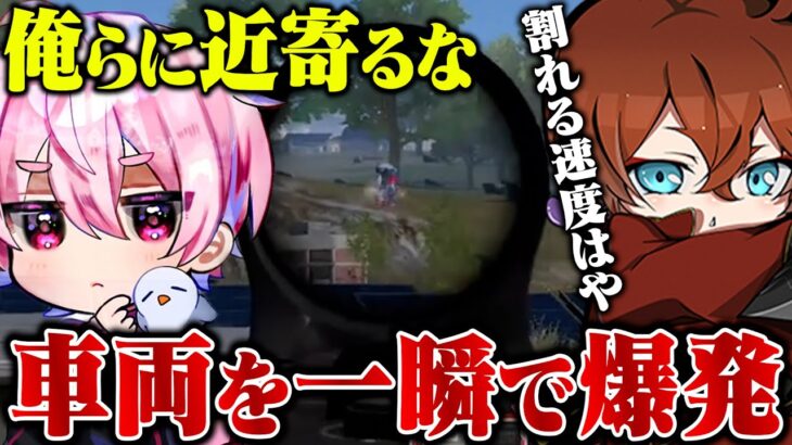 【危険】Avesの近くにいるとチームが一瞬で崩壊されます。【荒野行動】