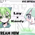 Nvc最強のれいくんとデュオ【荒野行動】