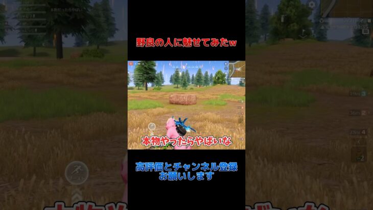 野良の人に「魅せて」と言われたので本気で魅せてみたwwww【荒野行動】#shorts