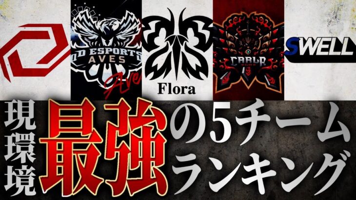 【後編】界隈の最強5チームを発表します！1位は”あのチーム”だ！【荒野行動/Carla】