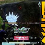 えいたが怪しい成金になってきた件ｗｗｗ【荒野行動】