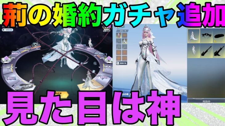 【荒野行動】荊の婚約ガチャ追加！！見た目はまじで好み