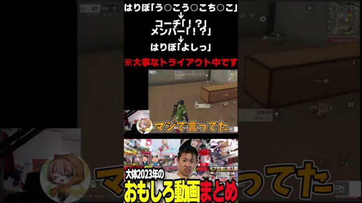 はりぼー、プロでこの発言はアウトです【荒野行動】