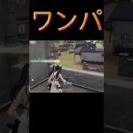 【荒野行動】暴言を言う付近がいたら率先して確入れするようにしてますwww