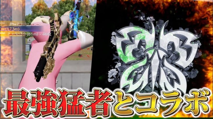 【荒野行動】人力チーター瀧さんが強すぎてやばいwww PEAK戦無双