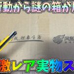 【実写】荒野行動から謎の箱が届いたから開封したら激レア実物スキンが…ｗｗ【荒野行動】#1170 Knives Out