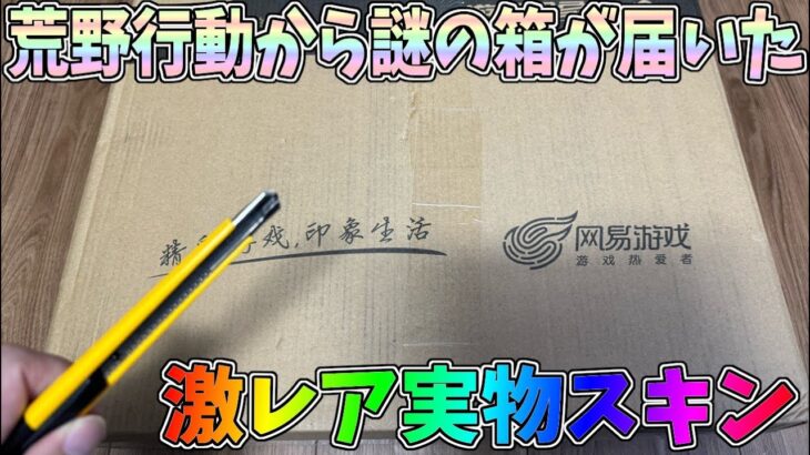 【実写】荒野行動から謎の箱が届いたから開封したら激レア実物スキンが…ｗｗ【荒野行動】#1170 Knives Out