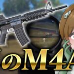 【荒野行動】初期スキンのM4A1が1番強いってマジ？wwwww