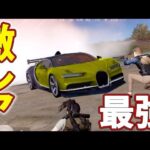 【荒野行動】超激レア‘‘金色ブガッティ‘‘で荒らしてみた