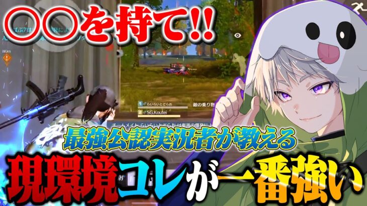 【必須】現環境これ使わない奴おらんやろww【荒野行動】