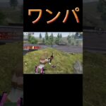 【荒野行動】橋検問が楽しすぎるwww