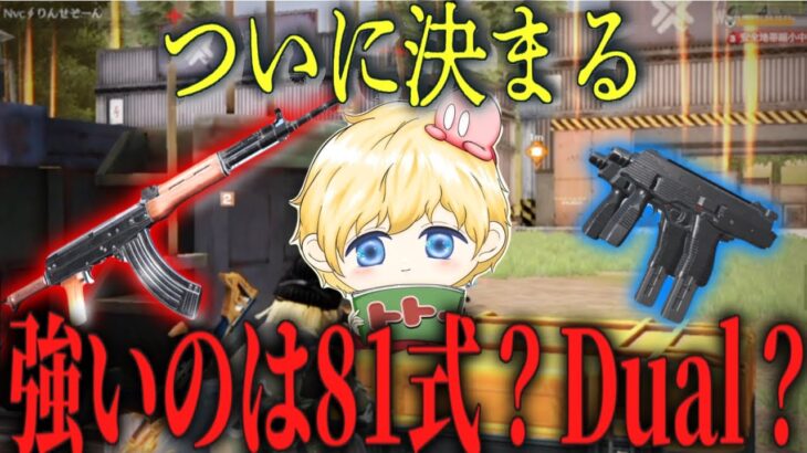 81式とDualどっちが強いのか決めようじゃねぇか！【荒野行動】