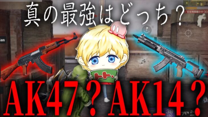 真の最強はAK14？AK47？決着を着けようじゃねぇか！【荒野行動】