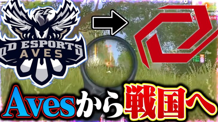 Aves裏切って戦国に行った結果。【荒野行動】