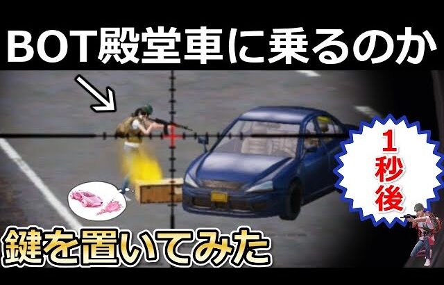 【荒野行動】BOTに殿堂の鍵をプレゼントしたら暴走したんだけど…。運転するBOTを検証してみた！BOTの強化・PC先行のアプデ情報（Vtuber）
