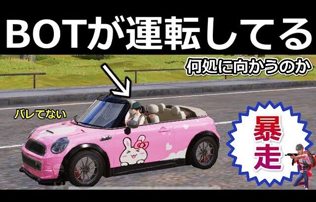 【荒野行動】BOTが運転するセダンに乗ったら目的地がヤバかった…。バレないように助手席に乗って検証してみた！暴走シーン・BOTの成長日記（Vtuber）