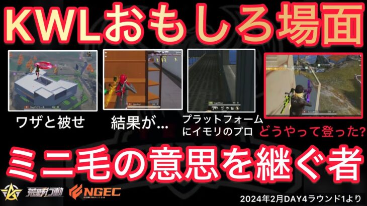 【荒野行動】ワザと初手被りをした結果・・。プロが最終日にイモリ。おもしろ場面６選！２月KWL２０２４DAY４ラウンド１【超無課金/αD/KWL/むかたん】Knives Out