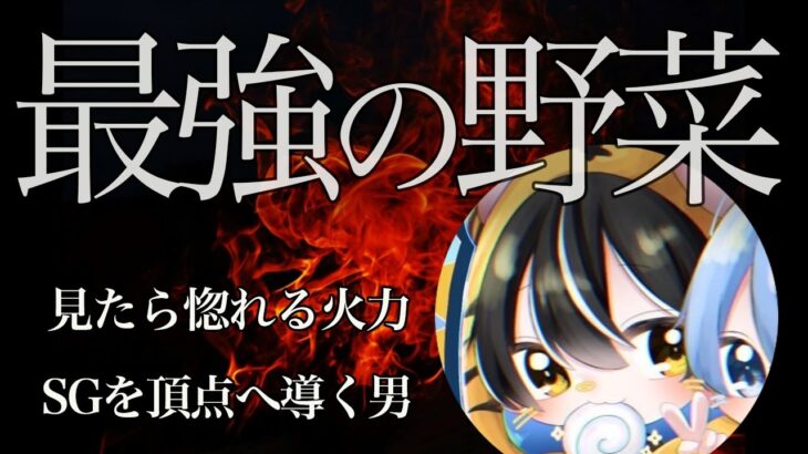 【荒野キル集】実力でSG加入を掴む！文句なしの火力枠！【SGなすび】