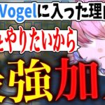 【特報】Vogelにりんね加入！気になる加入理由は…【荒野行動】