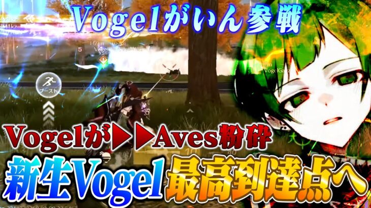 がいん加入後の試合でVogel vs Aves勃発!!過去最強Vogel誕生か?【荒野行動】