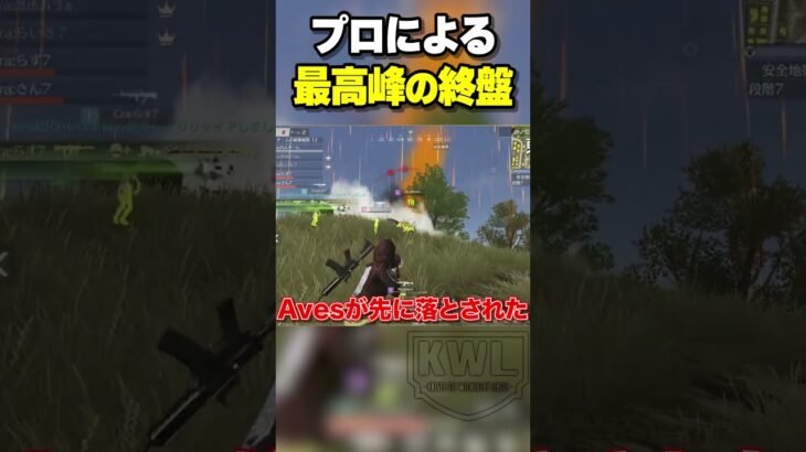 プロチームの最高峰の決戦【荒野行動】#shorts